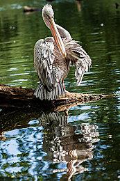 像素黑暗奇幻风格冒险解谜游戏《Centum》现已正式推出 获得好评